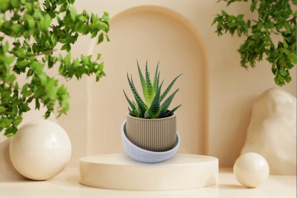 Eero Planter - Planter Pot for Succulent, Cactus, Monstera, sizes and colors to choose